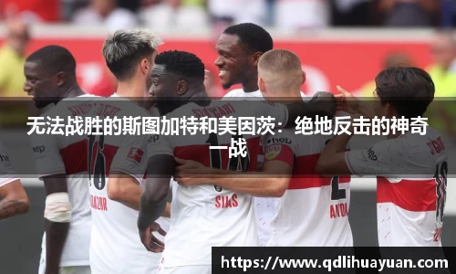 EMC易倍官网