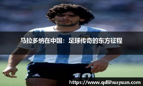 EMC易倍官网