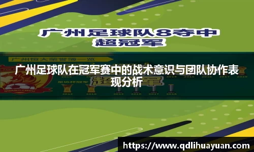 EMC易倍APP