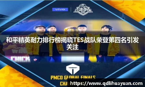 EMC易倍下载